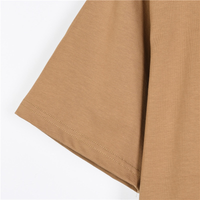 Burberri Embroidered Knight Warhorse